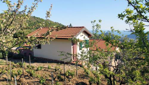 L'Oasi del Rossese - Foto 3