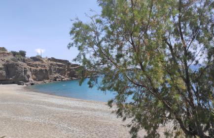 Blue Paradise - Photo 41