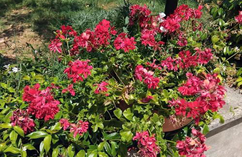 La Candelora Casa Vacanze - Foto 28