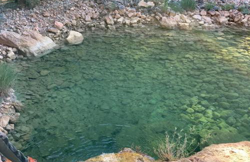 Cabañas Buenache - Foto 30