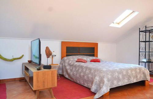 Lazy Lizard Studio - Foto 6