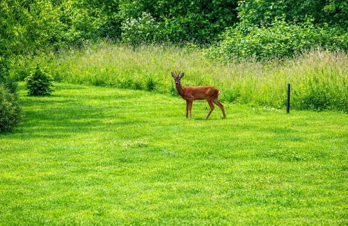 Villa Silbermöwe - Foto 23