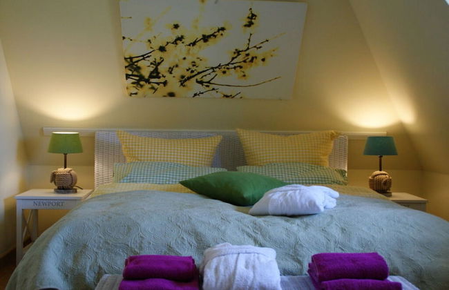 Reethus Star Kicker - Photo 3