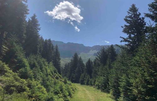 Studio lumineux à Prapoutel, Les 7 Laux, Alpes - Foto 19