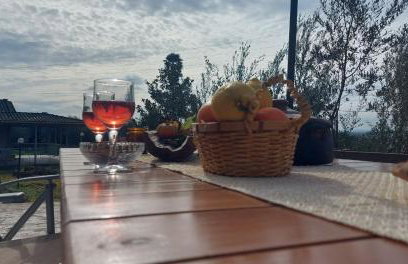 homonatura petrinum - Foto 32