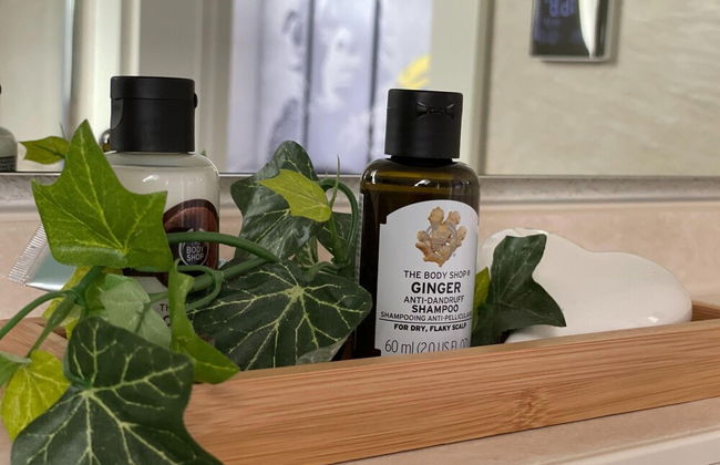 Holiday Home in Walkenried With Sauna - Foto 46