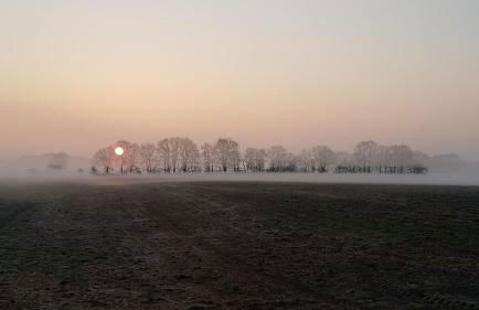 Stay at Gardi - Ferienwohnung - Foto 45