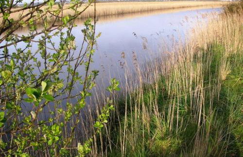 Bandeira'S house - Foto 46