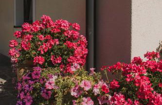 Francesca's home - Foto 34