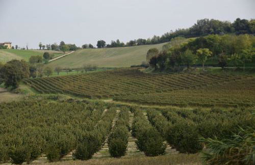 Le Magnolie - Foto 30