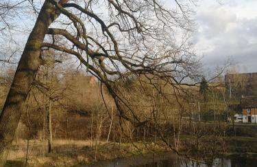 Pałac Rząsiny - Foto 17