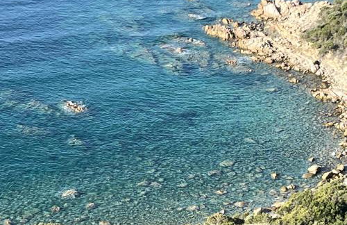 Domaine de la Coletta Maison traditionnelle - Photo 16