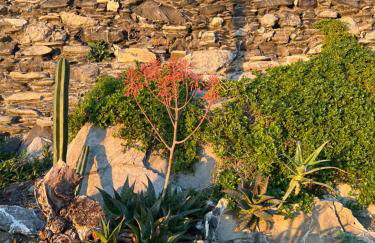 Artista - 10 min stazione - Foto 25