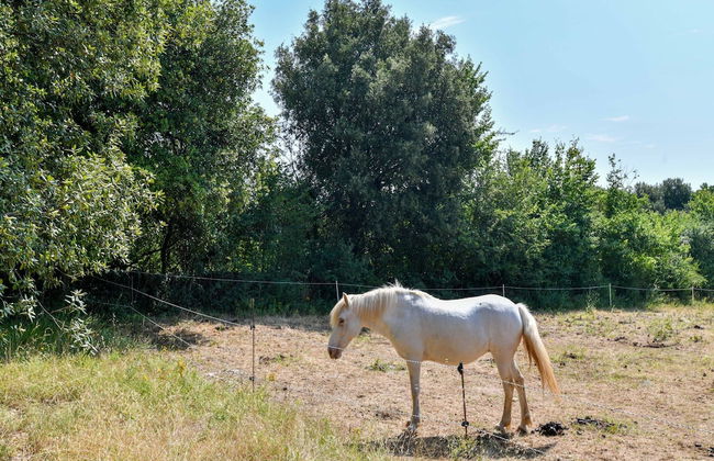Gite in Holiday Park With Swimming Pool - Foto 36