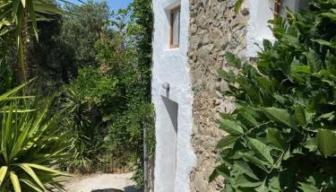 Moani - Foto 3, Garden, Garden view