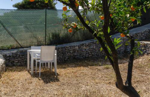 Pagliaio Tipico nello Junno - Foto 8