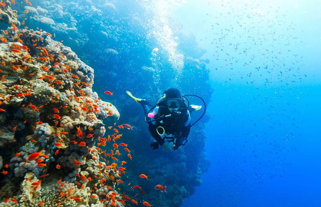 Scuba Diving in Khasab - Photo 5