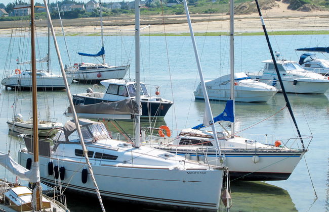 Les Mésanges - Foto 19