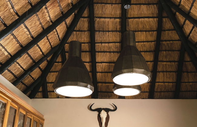 Buccara Waterberg - Molapo - Photo 33