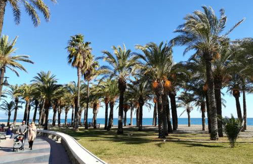 Deluxe Playa Pacifico - Photo 16