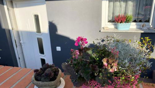 Ferienwohnung Rosenweg - Foto 3