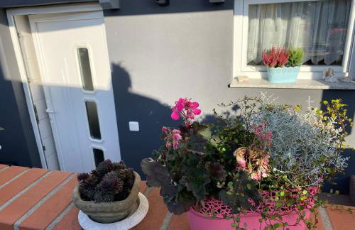 Ferienwohnung Rosenweg - Foto 3