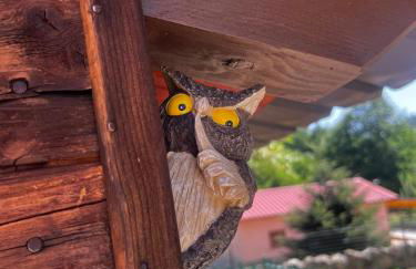 Casa dello Sciatore Lorica - Foto 11