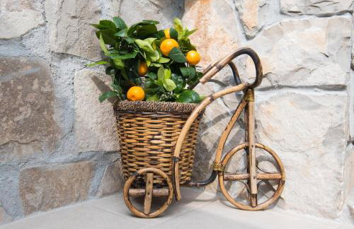 Holiday Villa Andro - Photo 34