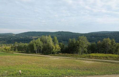 Lakeview Retreat with Fire Pit and Total Privacy - Foto 31