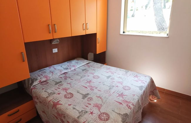 sfinal residence - Photo 5