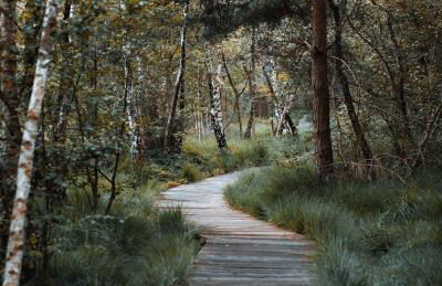 Ferienwohnung mit Loggia - Foto 51