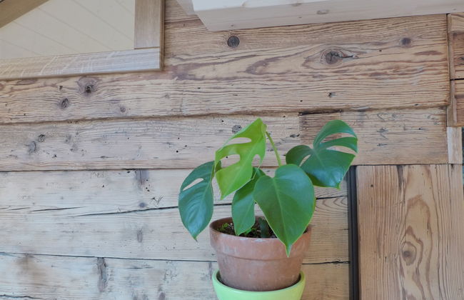 Beim Thor Klein - Foto 11