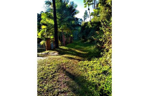 Sitio Libardo em Meio a Natureza - Nova Trento - Foto 144