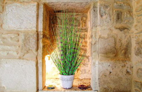 Beautiful Home In St Amand De Coly - Foto 20