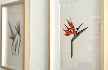 La Esterlicia - Foto 28