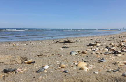 Residenza La Gazza - Foto 24