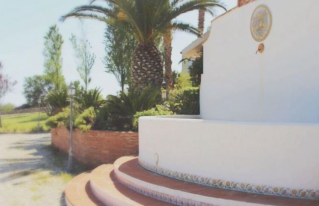 Tenuta Palladio - Foto 26