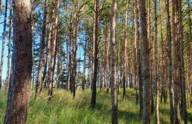 Domki Przy Tężni - Foto 42