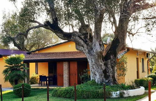 Hotel Residence Il Rifugio - Foto 3