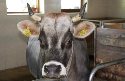 Schneiderhof - Foto 26