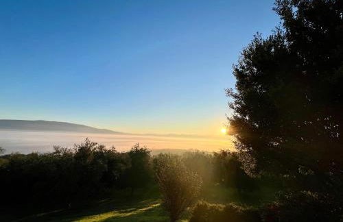 Agriboutique L'Uliveto Magico - Foto 23