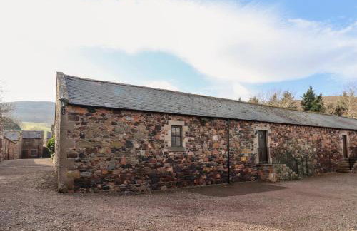 Honeysuckle - Photo 1