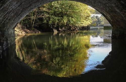 Melin y Coed - Foto 59