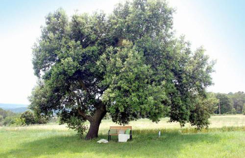 Mas La Casa Nova - Foto 35