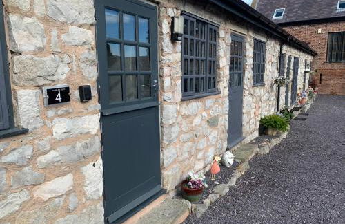 Dwylig Isa Holiday Cottages - Photo 45