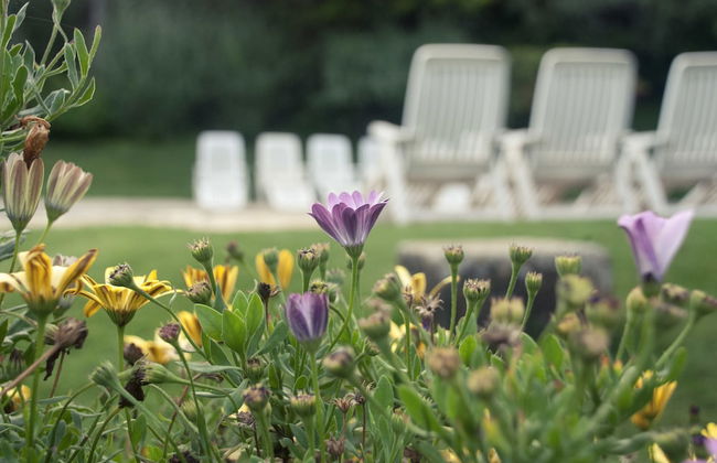 El Calambuco - Foto 31