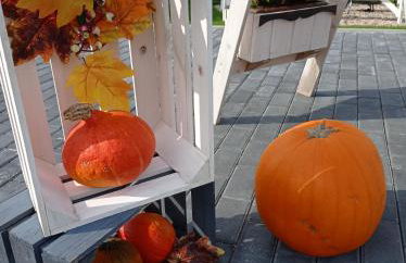 Całoroczny Ośrodek Wypoczynkowy COMFORT HOUSE - Foto 57