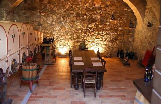Visita a una cantina di Pozzolengo - Foto 4