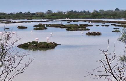 Ca' SVIZZERO - Foto 8