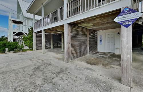 The Sassy Sea Turtle - Foto 39